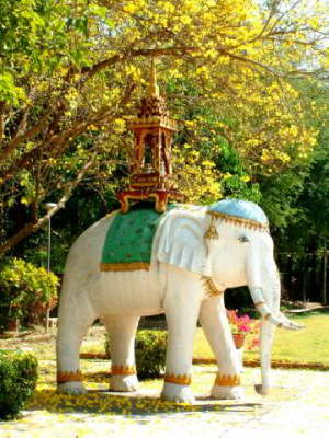 Weißer Elefant in Chiang Mai